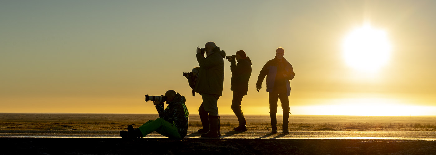 five photographers silhouetted against sunrise orange sky